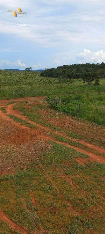 Farm of 3,904 acres in Santa Rita do Trivelato, MT, Brazil