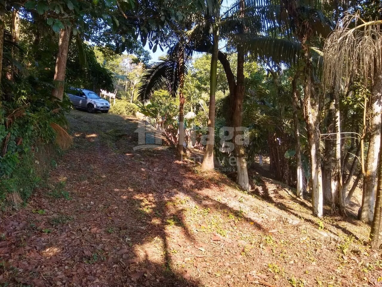 Farm of 4 acres in Itajaí, SC, Brazil