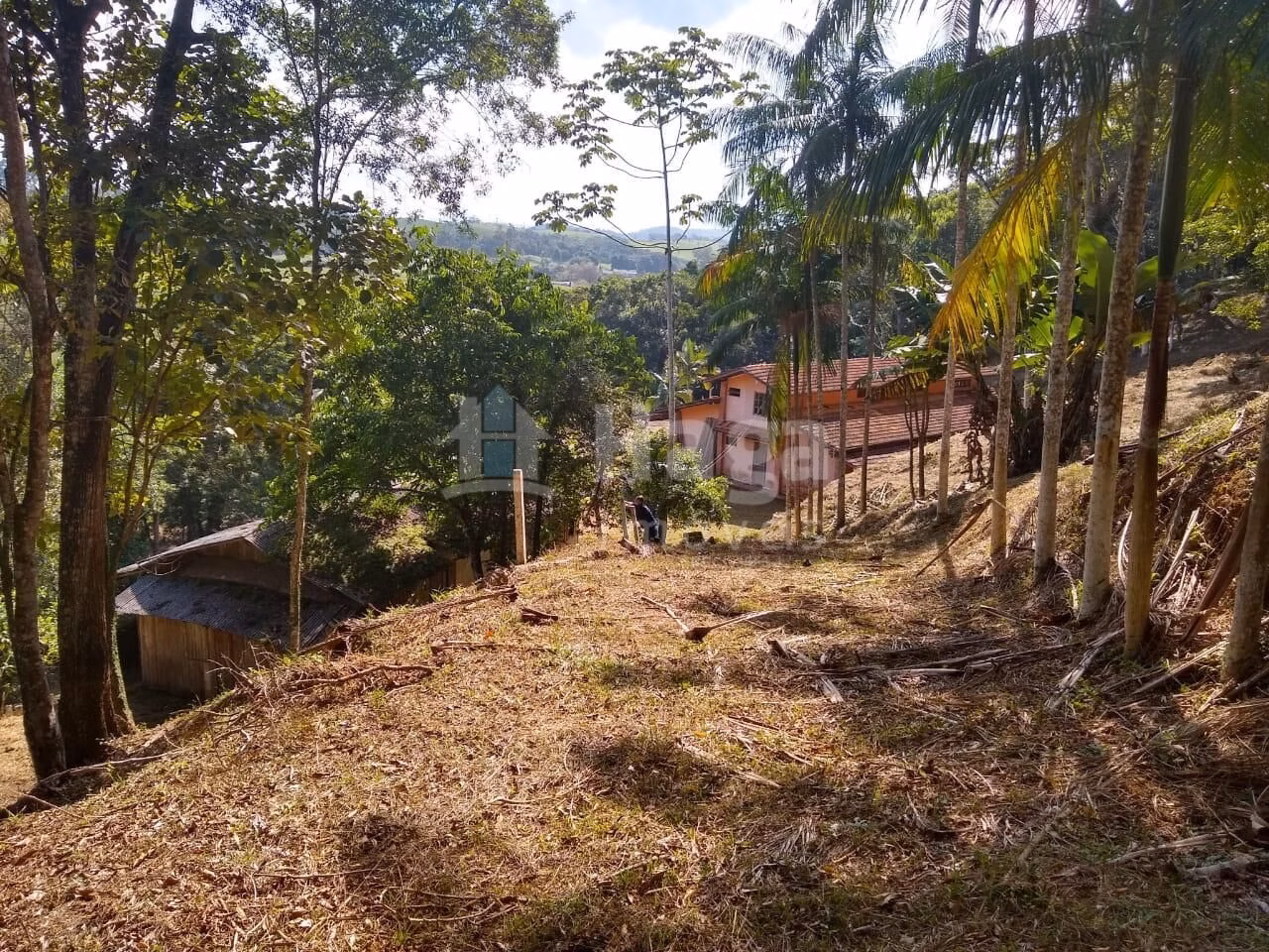 Farm of 4 acres in Itajaí, SC, Brazil