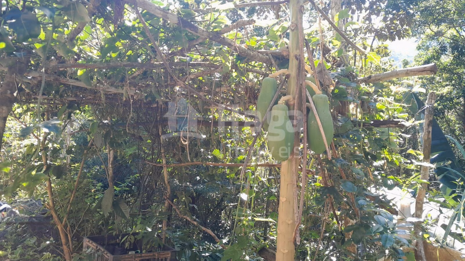 Chácara de 2.947 m² em Itajaí, SC