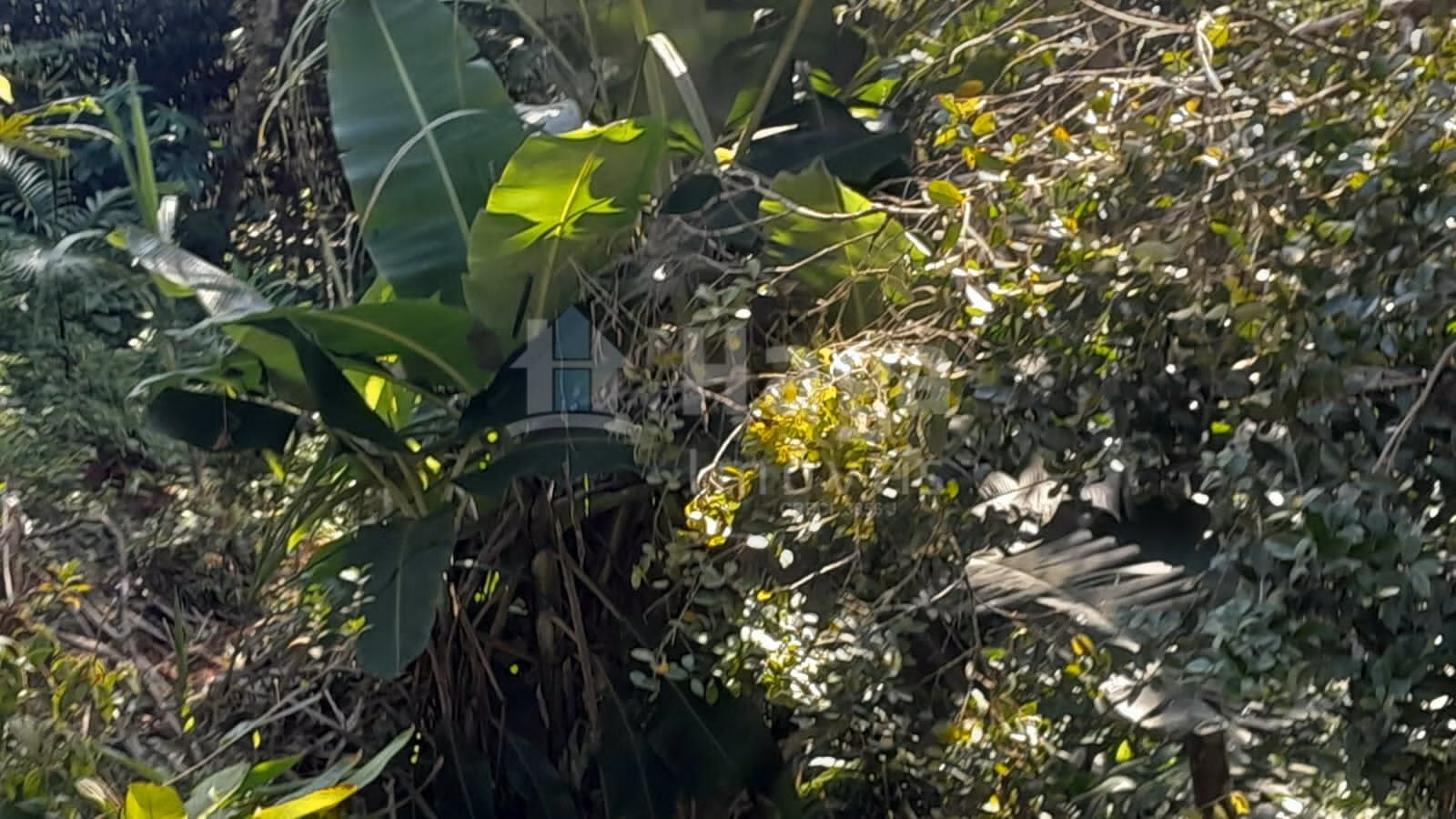 Chácara de 2.947 m² em Itajaí, SC