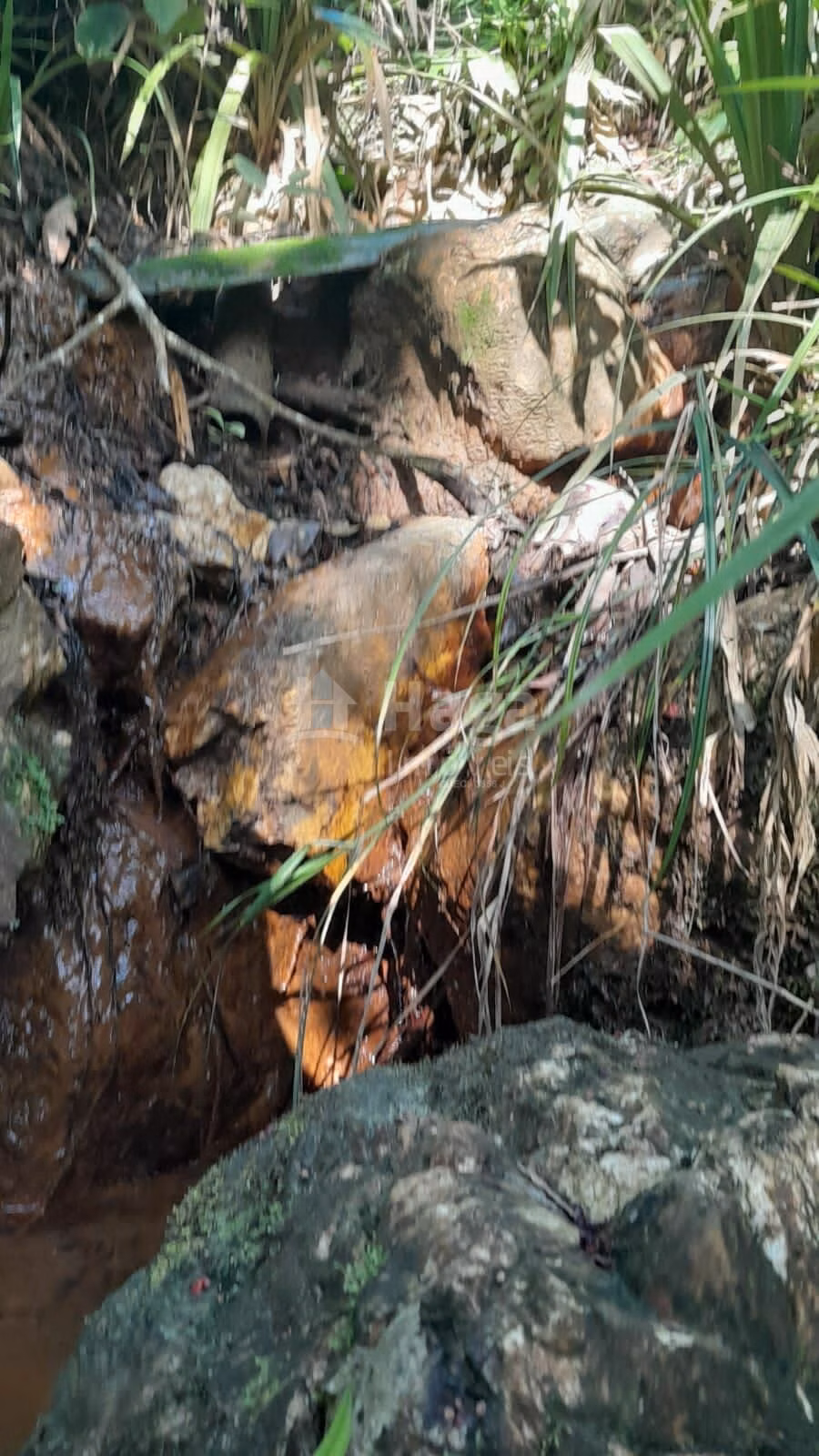 Chácara de 2.947 m² em Itajaí, SC