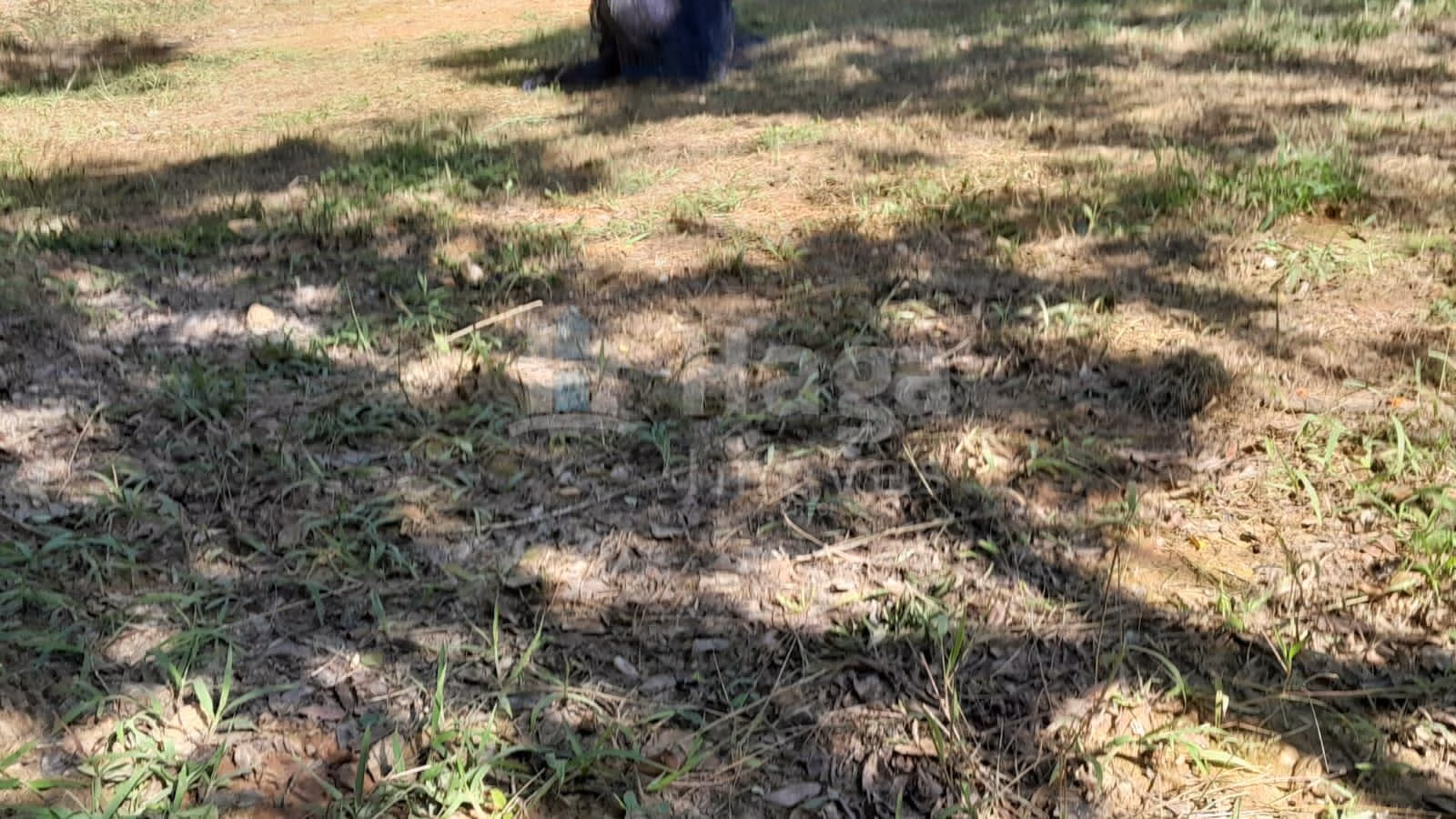 Chácara de 2.947 m² em Itajaí, SC