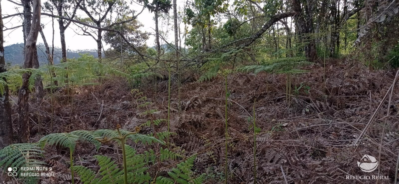 Small farm of 20 acres in Monteiro Lobato, SP, Brazil