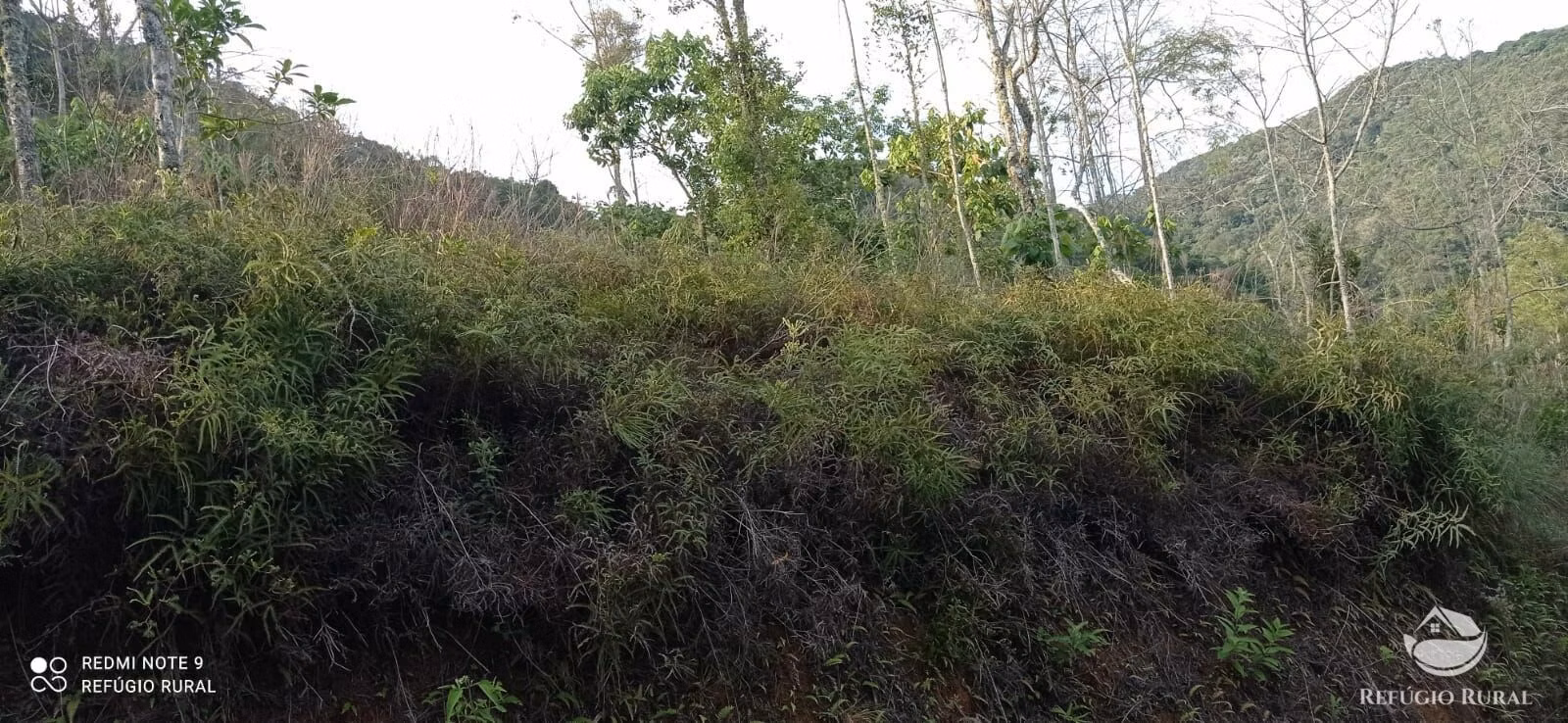 Small farm of 20 acres in Monteiro Lobato, SP, Brazil