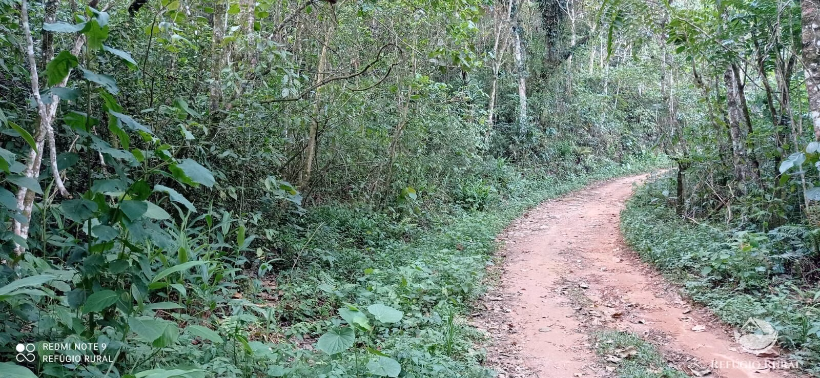 Small farm of 20 acres in Monteiro Lobato, SP, Brazil