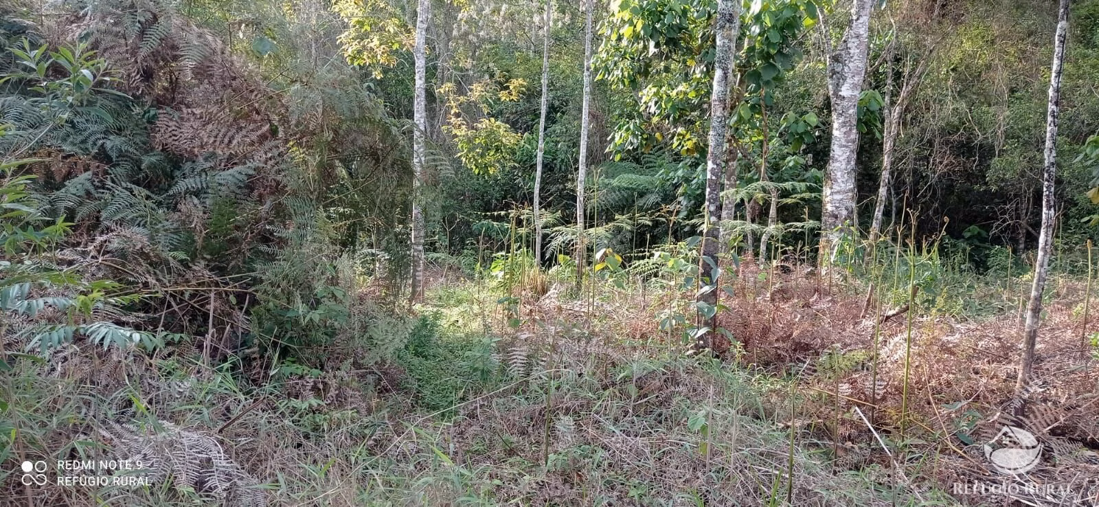 Small farm of 20 acres in Monteiro Lobato, SP, Brazil