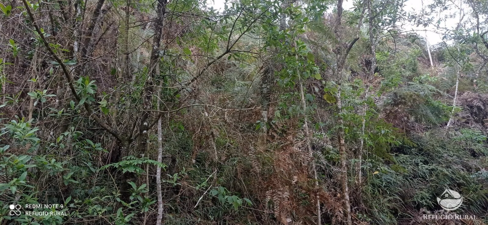 Small farm of 20 acres in Monteiro Lobato, SP, Brazil