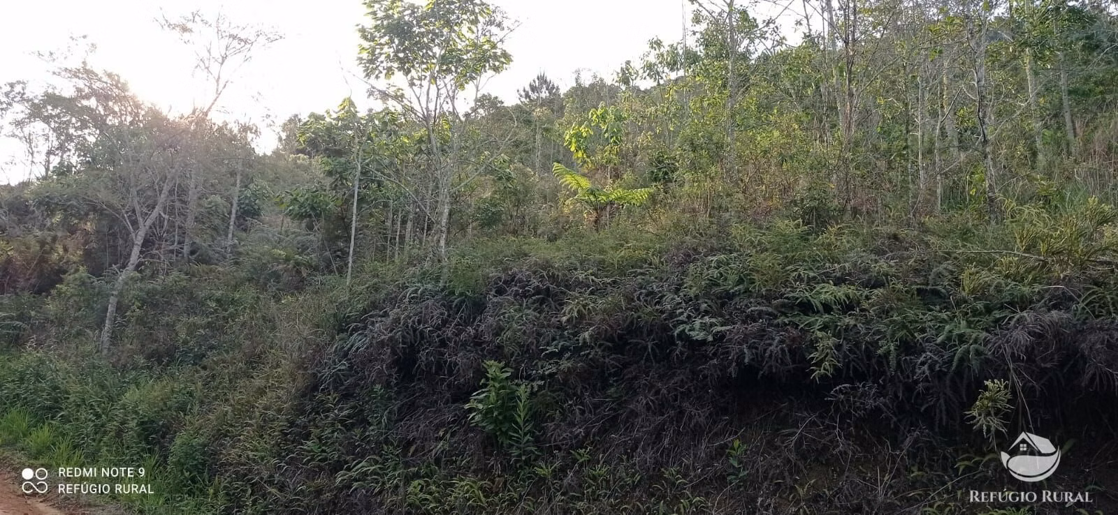 Small farm of 20 acres in Monteiro Lobato, SP, Brazil