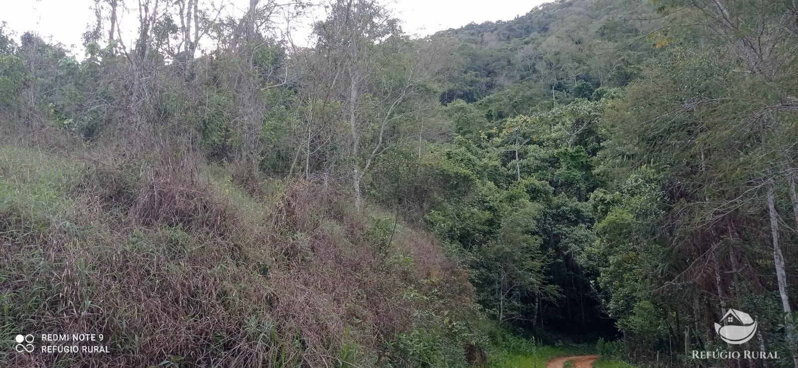 Sítio de 8 ha em Monteiro Lobato, SP
