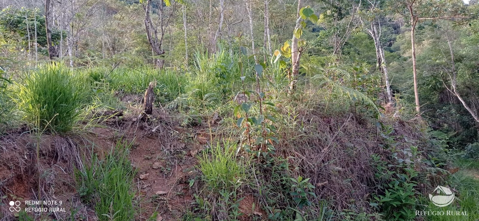 Small farm of 20 acres in Monteiro Lobato, SP, Brazil