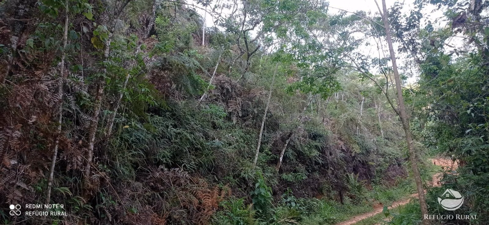 Small farm of 20 acres in Monteiro Lobato, SP, Brazil