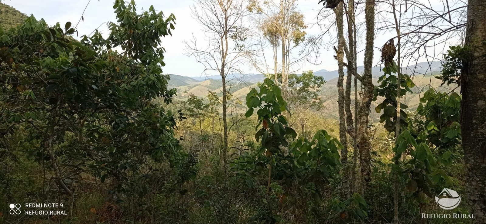 Small farm of 20 acres in Monteiro Lobato, SP, Brazil