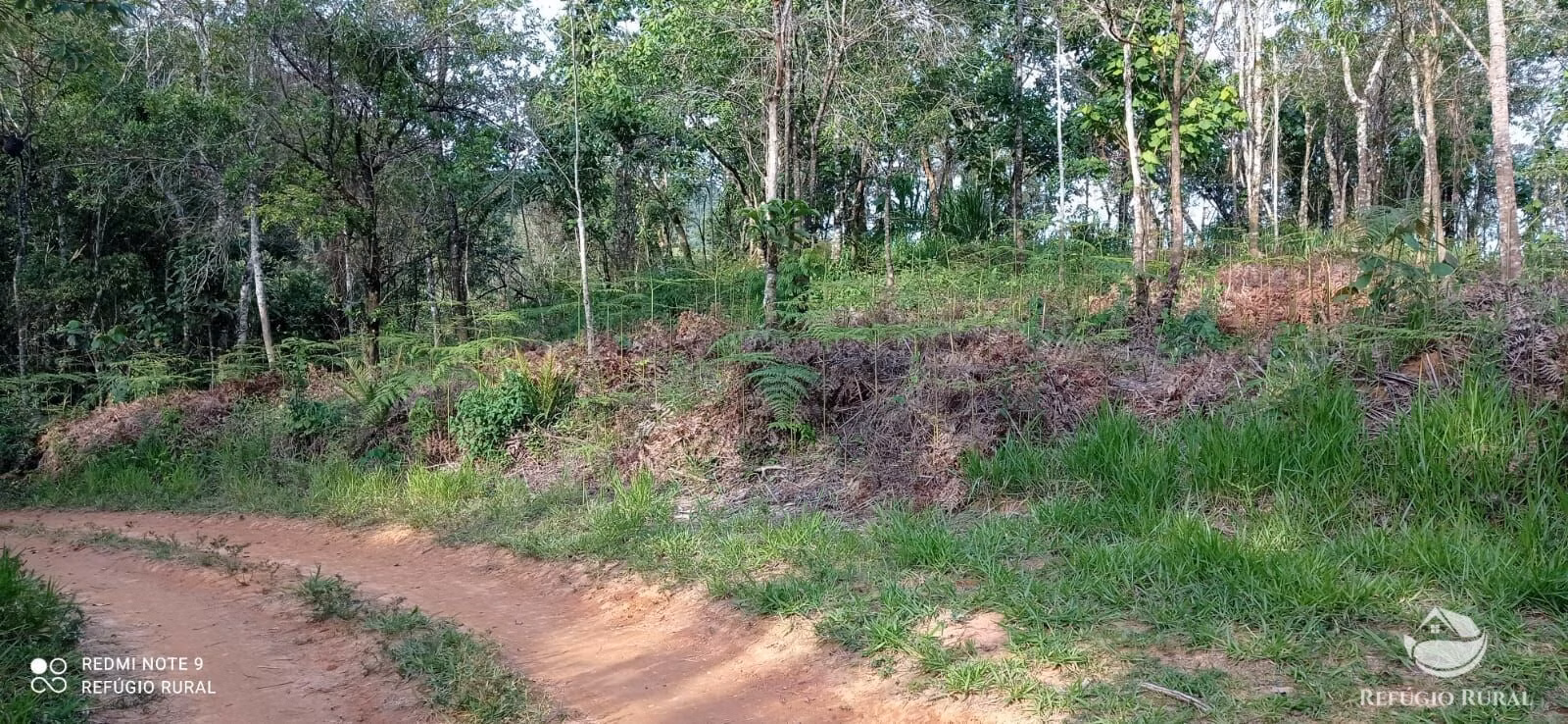 Small farm of 20 acres in Monteiro Lobato, SP, Brazil