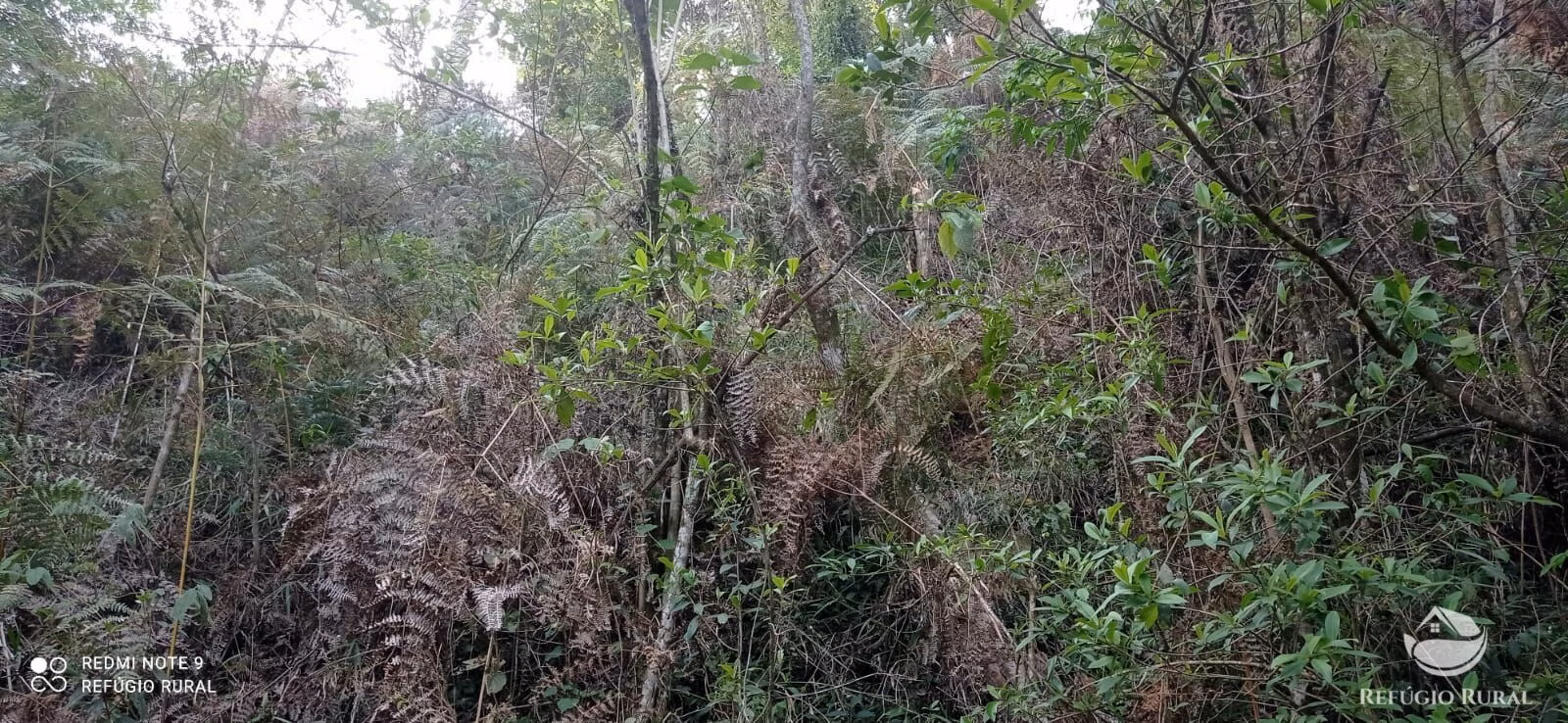 Small farm of 20 acres in Monteiro Lobato, SP, Brazil