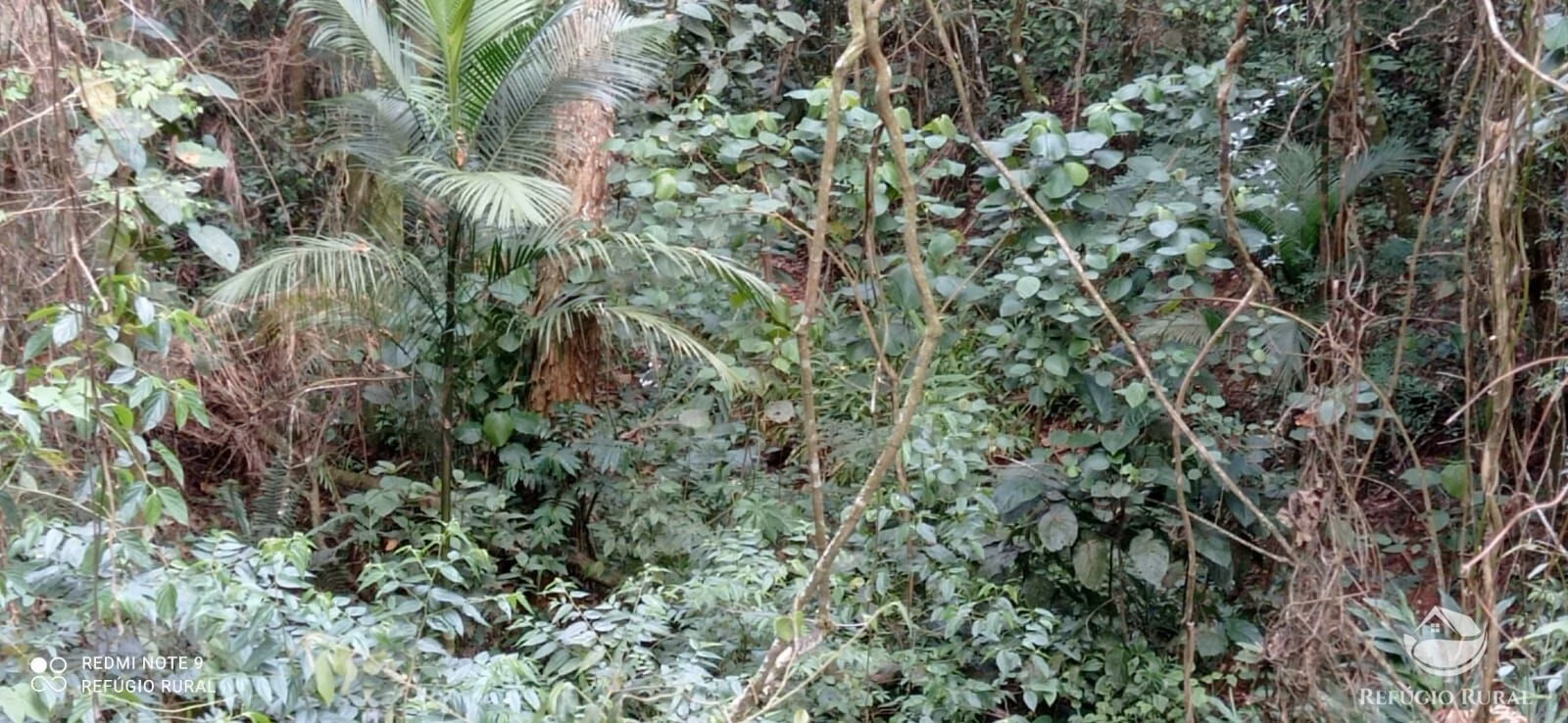 Small farm of 20 acres in Monteiro Lobato, SP, Brazil