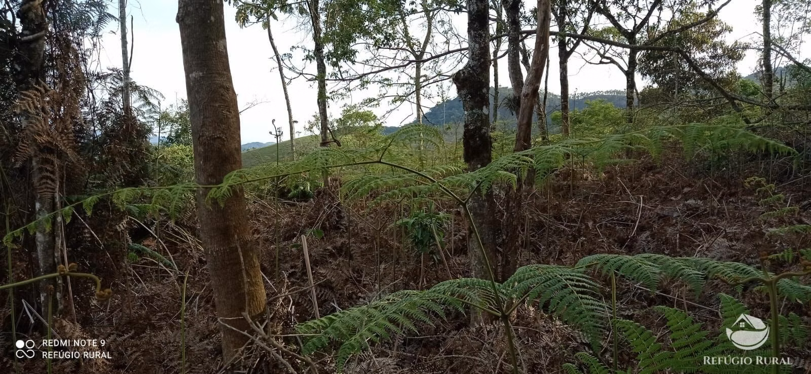 Small farm of 20 acres in Monteiro Lobato, SP, Brazil