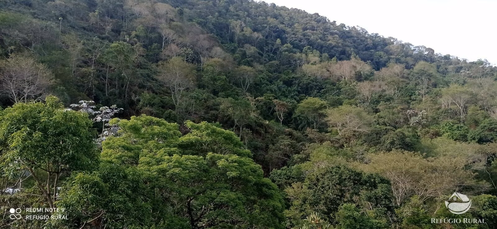 Sítio de 8 ha em Monteiro Lobato, SP