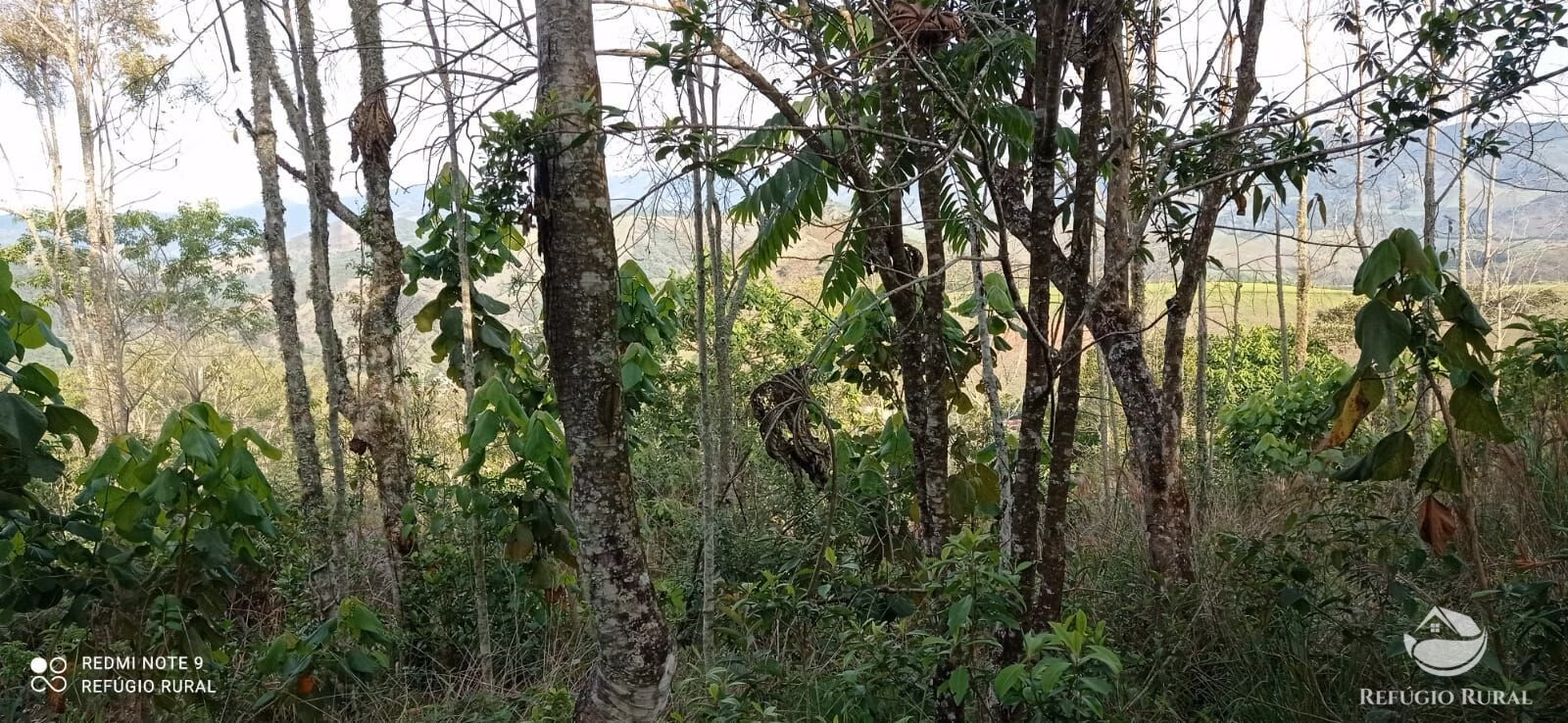 Sítio de 8 ha em Monteiro Lobato, SP
