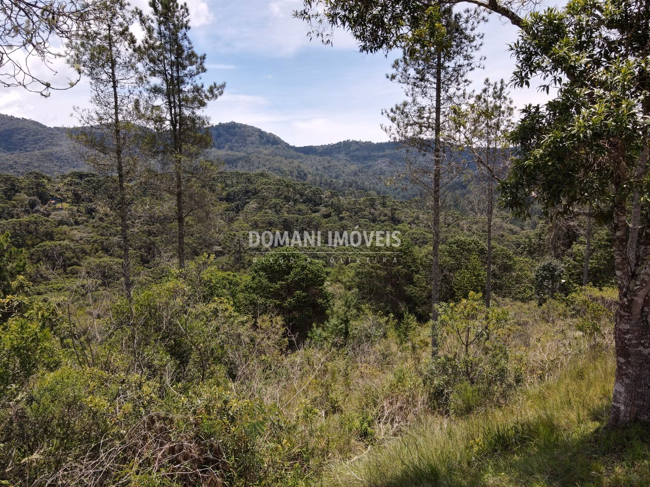 Plot of 1,370 m² in Campos do Jordão, SP, Brazil