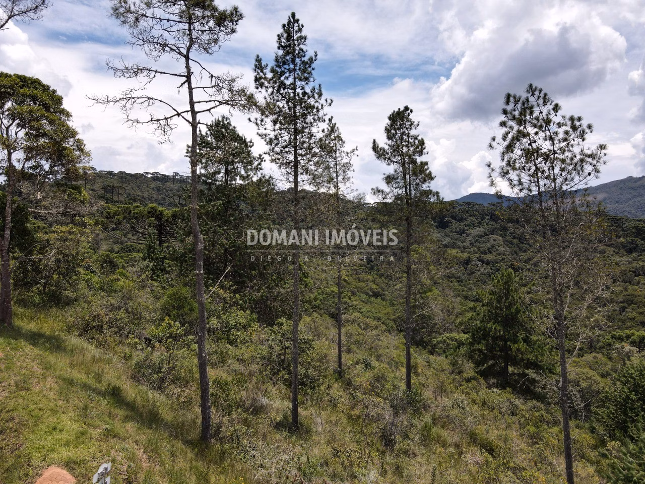 Plot of 1,370 m² in Campos do Jordão, SP, Brazil