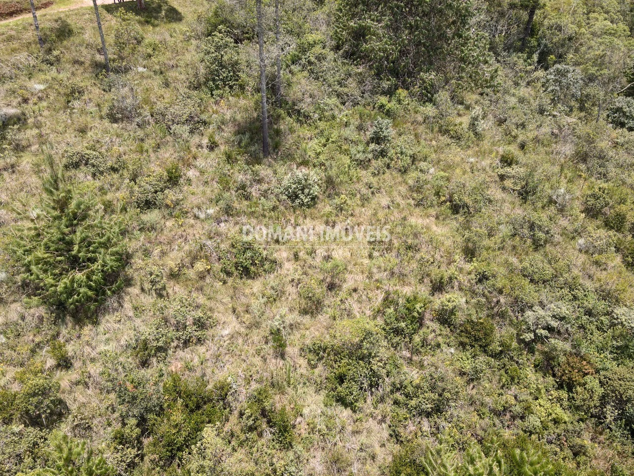 Plot of 1,370 m² in Campos do Jordão, SP, Brazil