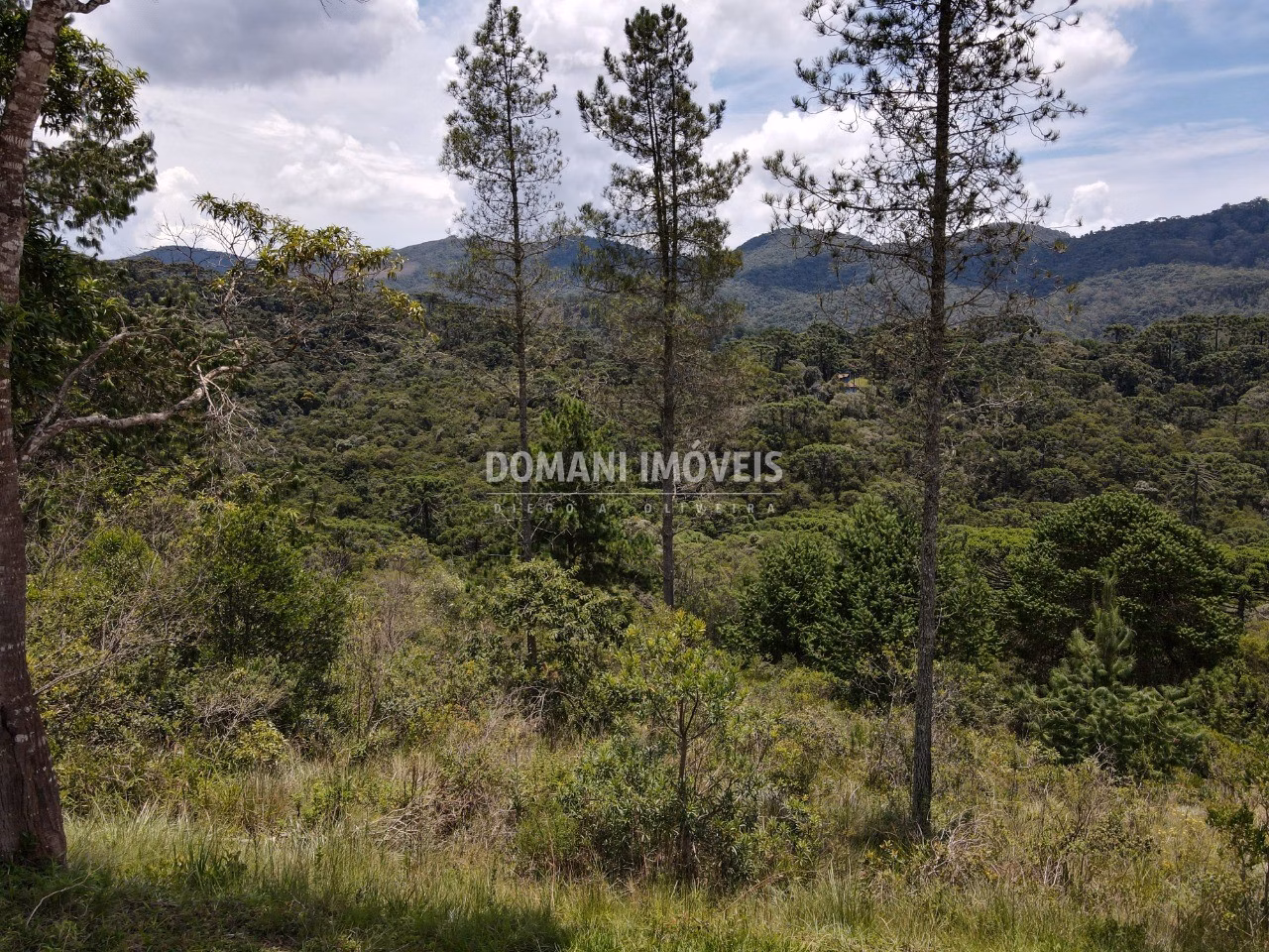 Plot of 1,370 m² in Campos do Jordão, SP, Brazil