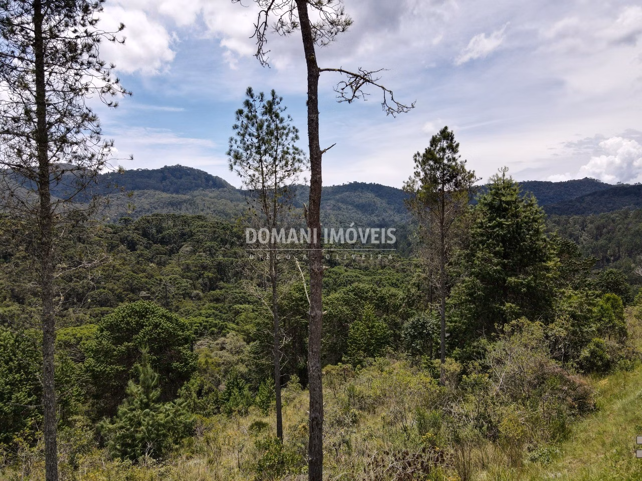 Plot of 1,370 m² in Campos do Jordão, SP, Brazil