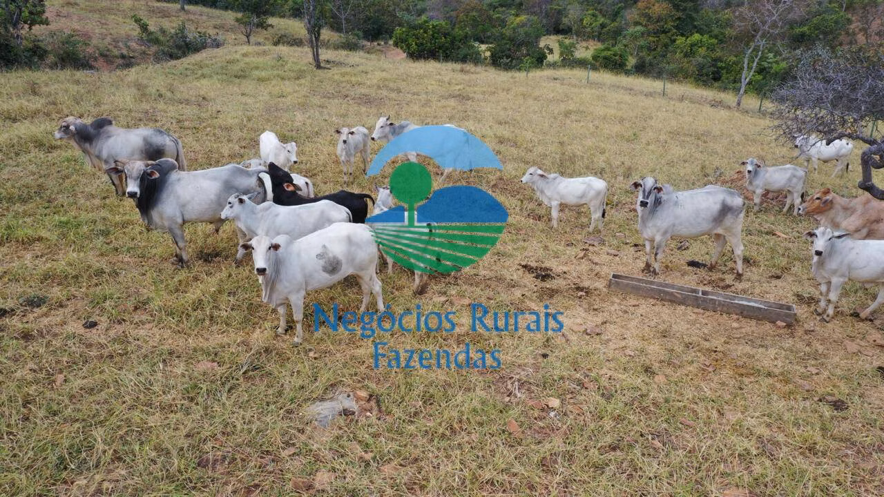 Small farm of 178 acres in Pirenópolis, GO, Brazil