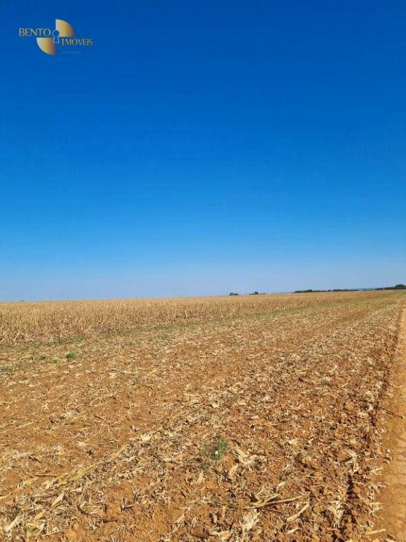 Fazenda de 9.385 ha em Sapezal, MT