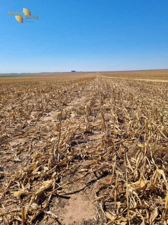 Fazenda de 9.385 ha em Sapezal, MT