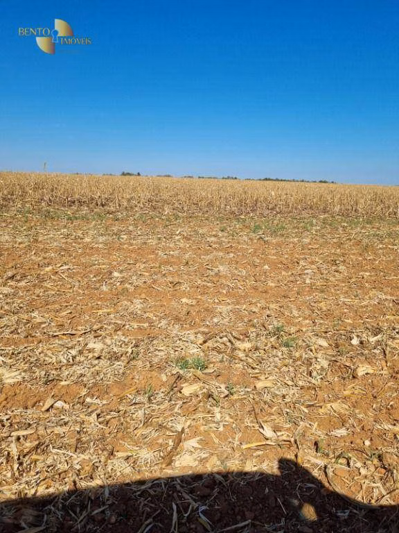 Fazenda de 9.385 ha em Sapezal, MT