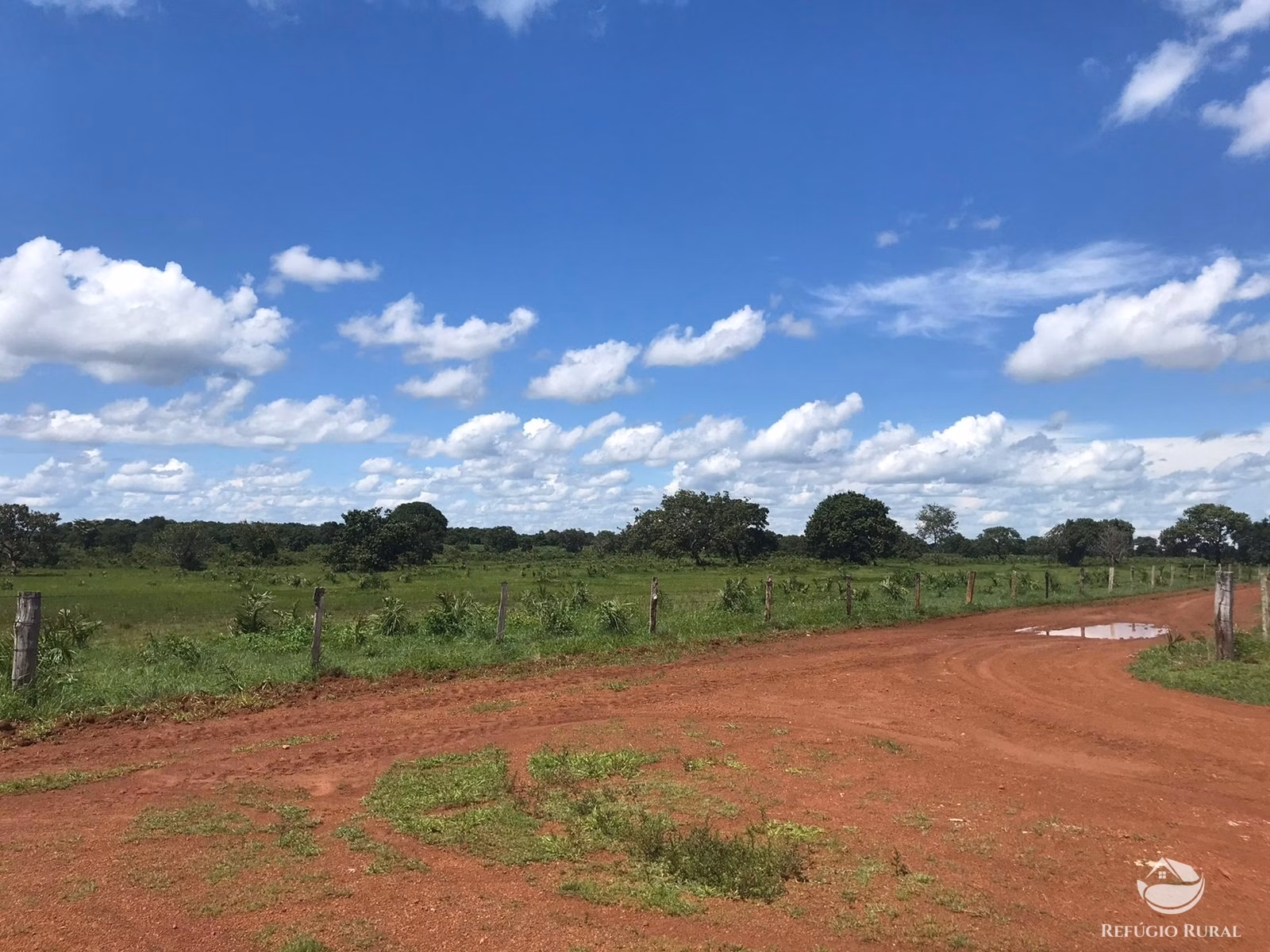 Farm of 3,109 acres in Lagoa da Confusão, TO, Brazil