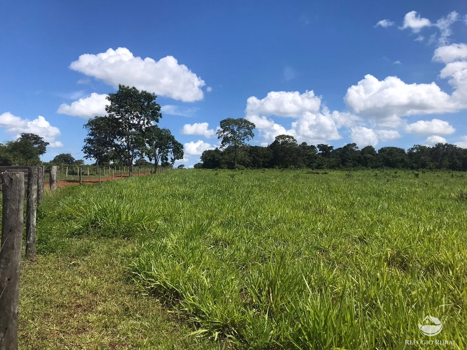 Fazenda de 1.258 ha em Lagoa da Confusão, TO