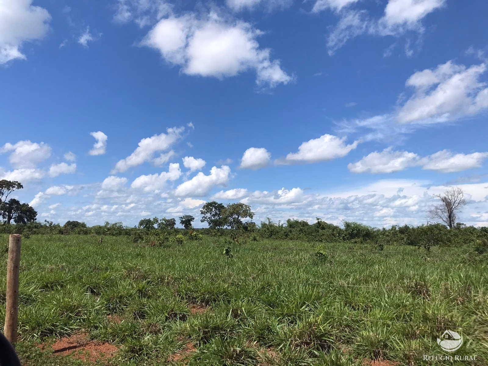 Farm of 3,109 acres in Lagoa da Confusão, TO, Brazil