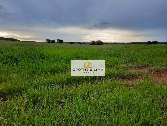Fazenda de 8.712 ha em Araguaína, TO