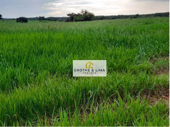 Fazenda de 8.712 ha em Araguaína, TO