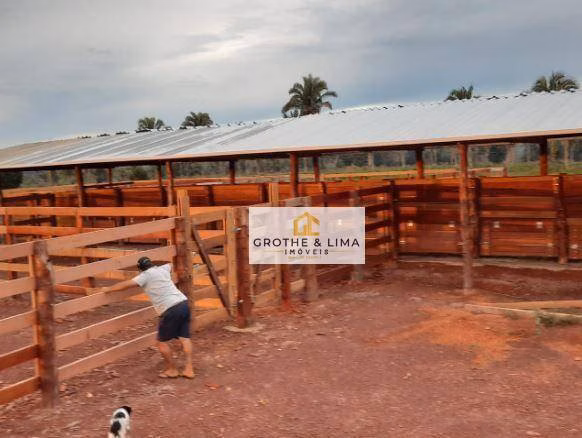 Fazenda de 8.712 ha em Araguaína, TO