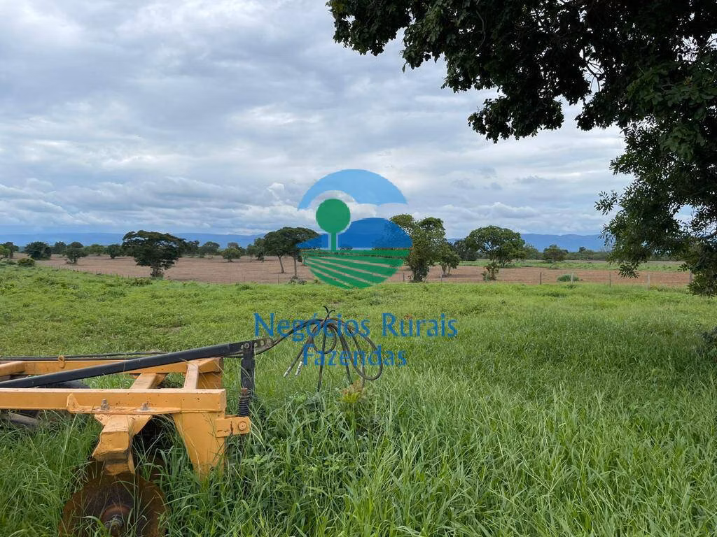 Fazenda de 1.742 ha em Flores de Goiás, GO