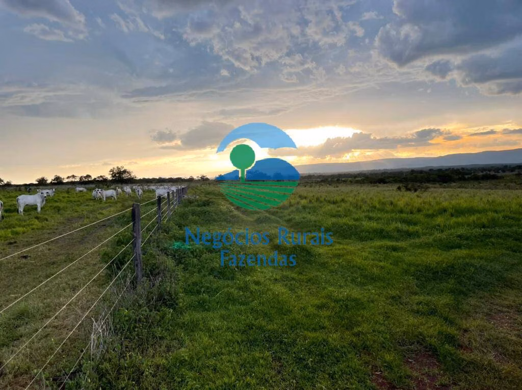 Fazenda de 1.742 ha em Flores de Goiás, GO