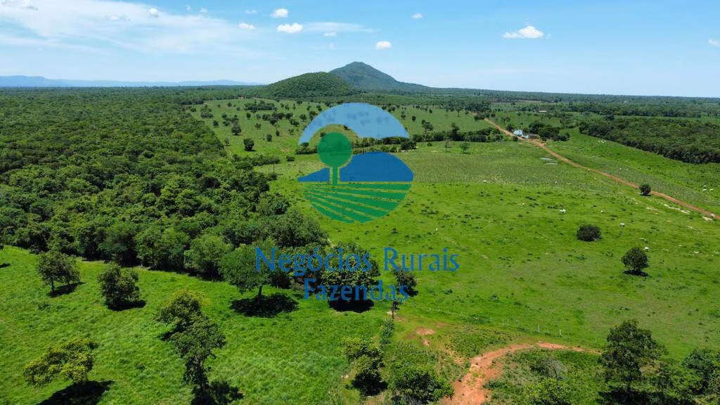 Fazenda de 1.742 ha em Flores de Goiás, GO