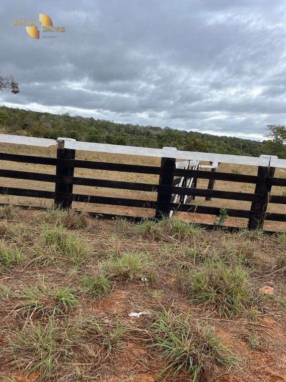 Fazenda de 315 ha em Chapada dos Guimarães, MT