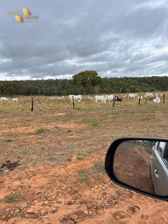 Farm of 778 acres in Chapada dos Guimarães, MT, Brazil