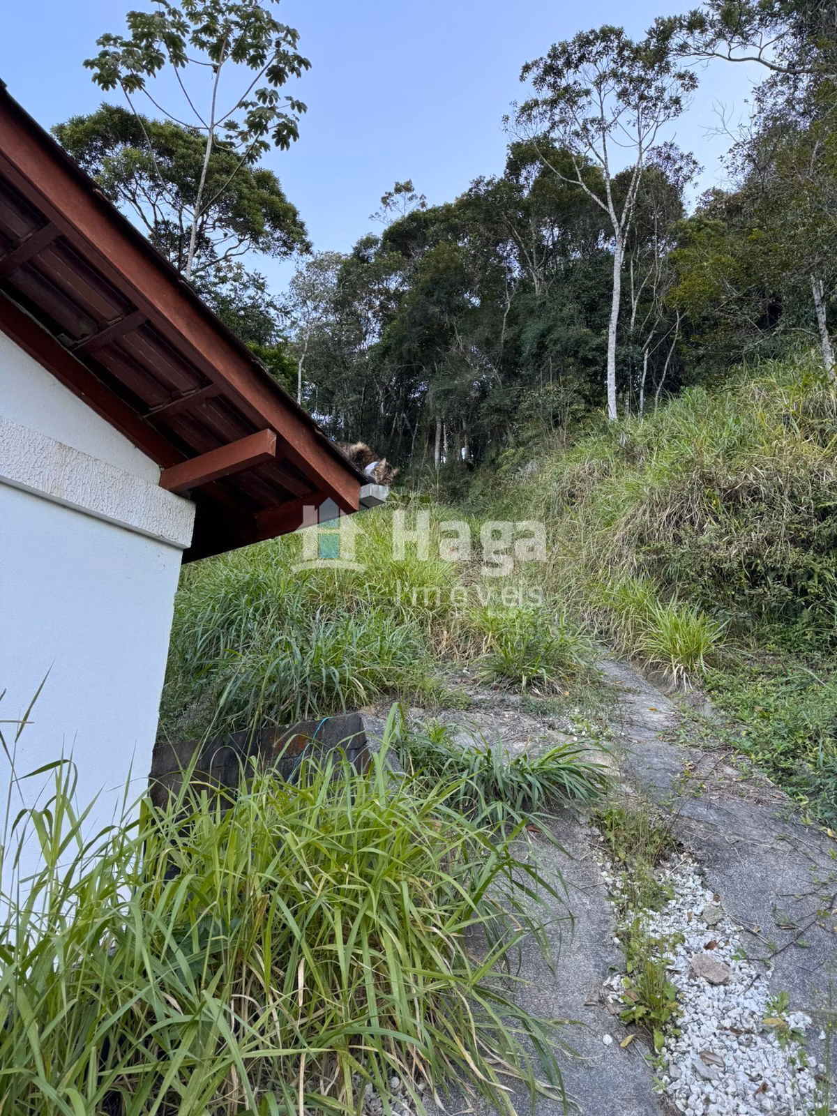 Farm of 1 acres in Camboriú, SC, Brazil
