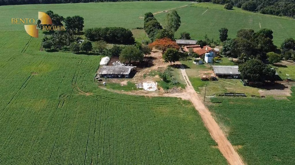 Sítio de 95 ha em Nova Mutum, MT
