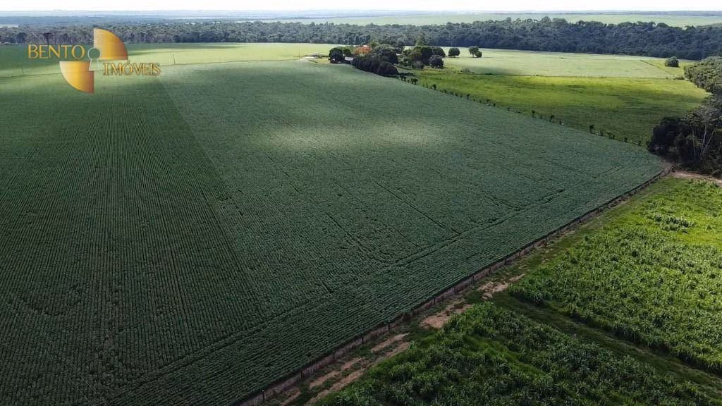Sítio de 95 ha em Nova Mutum, MT