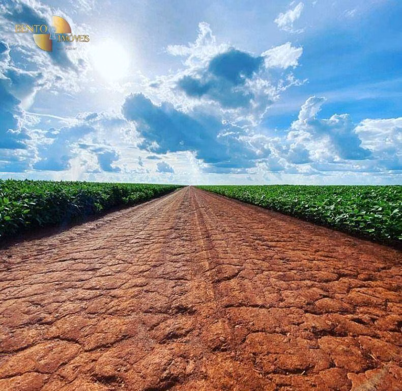 Farm of 8,896 acres in Tabaporã, MT, Brazil