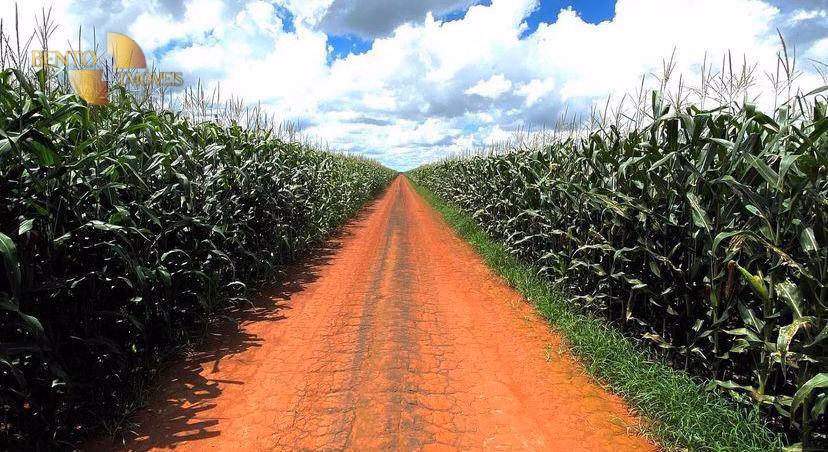 Farm of 8,896 acres in Tabaporã, MT, Brazil