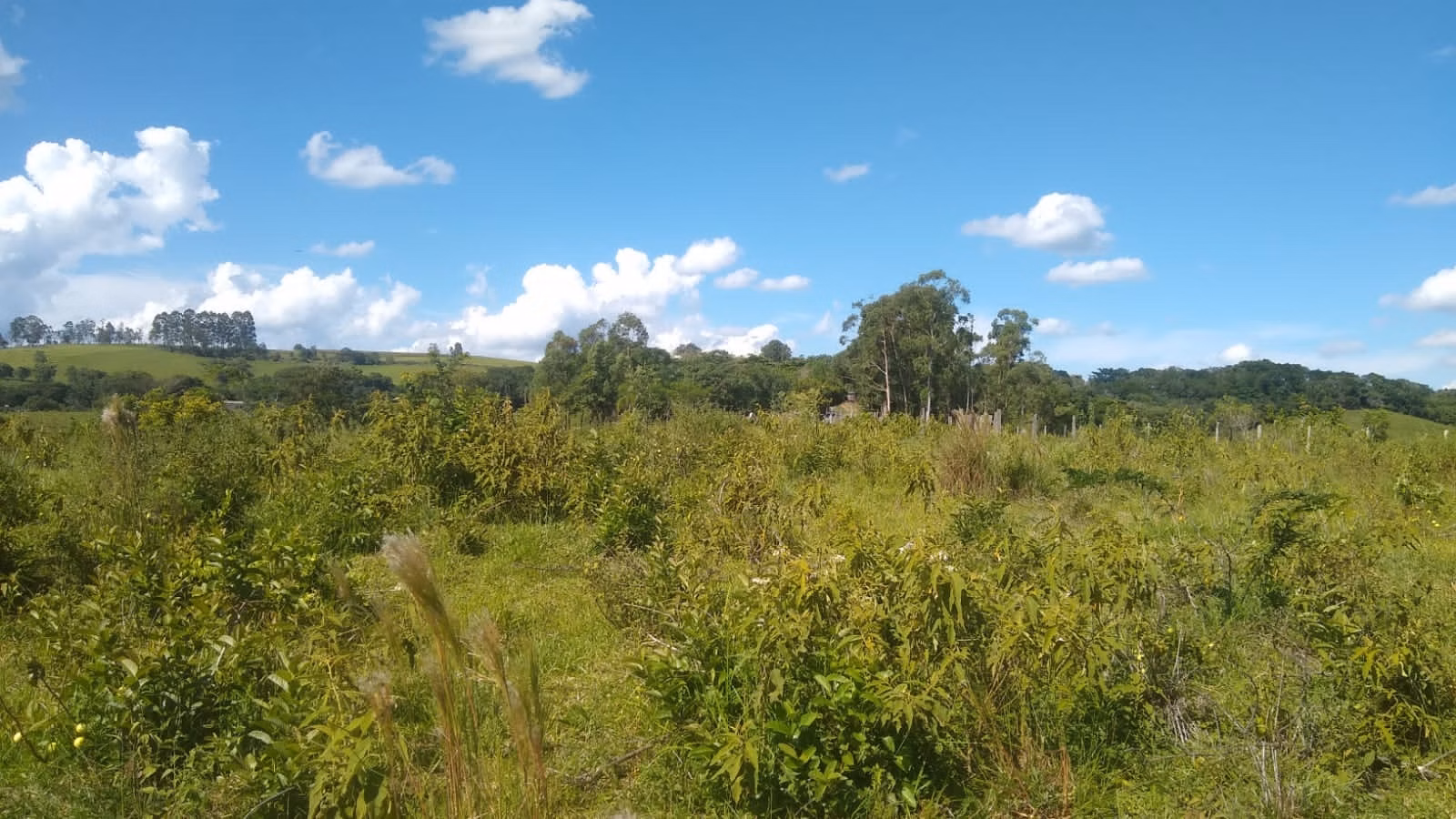 Sítio de 23 ha em Angatuba, SP