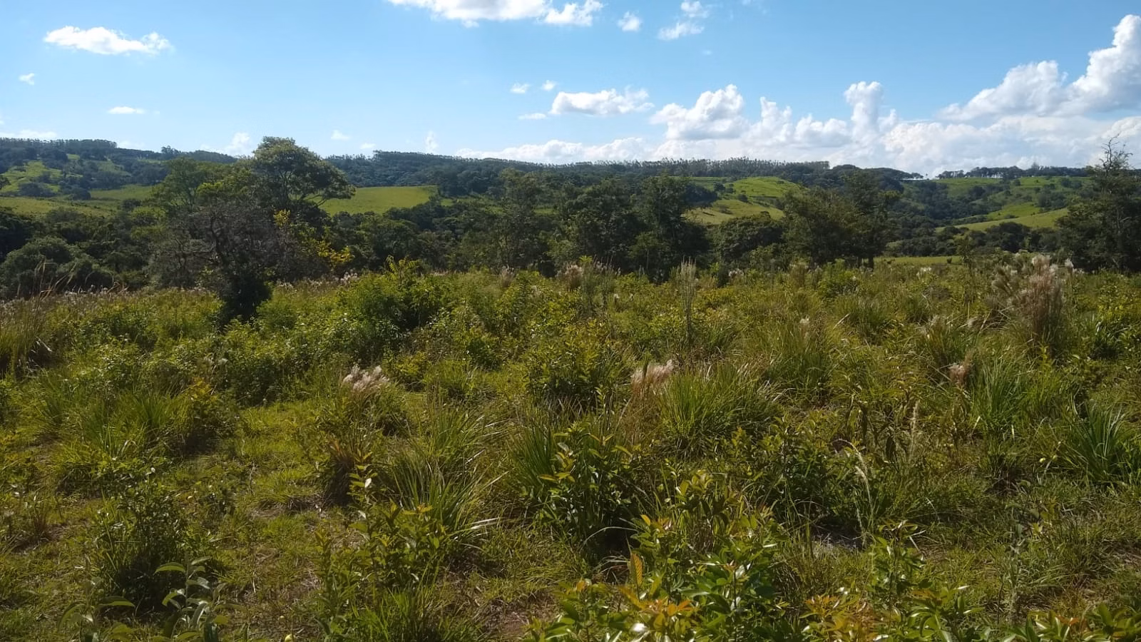 Sítio de 23 ha em Angatuba, SP